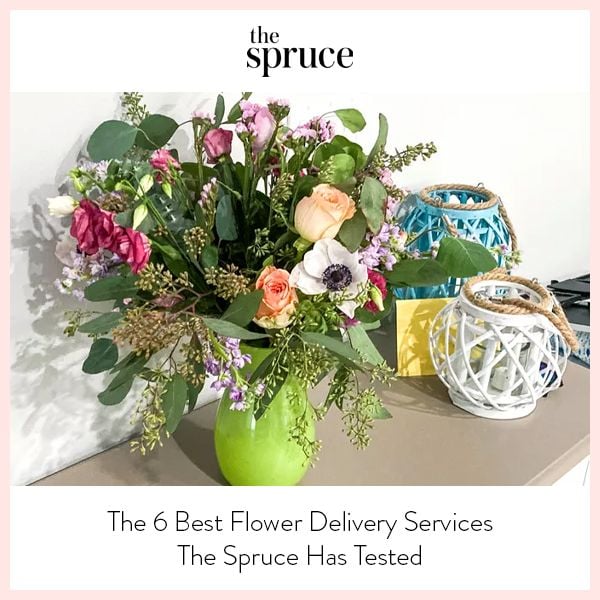The Spruce thumbnail